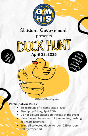 duck hunt